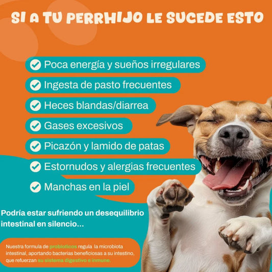 PROBIOTICOS PARA PERROS ZOE PET