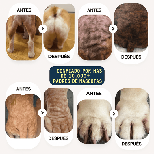 1 TRATAMIENTO NATURAL PARA PIEL ROJA, IRRITADA, CON GRANITOS O DERMATITIS