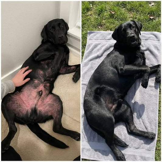 TRATAMIENTO NATURAL PARA PIEL ROJA, IRRITADA, CON GRANITOS O DERMATITIS.